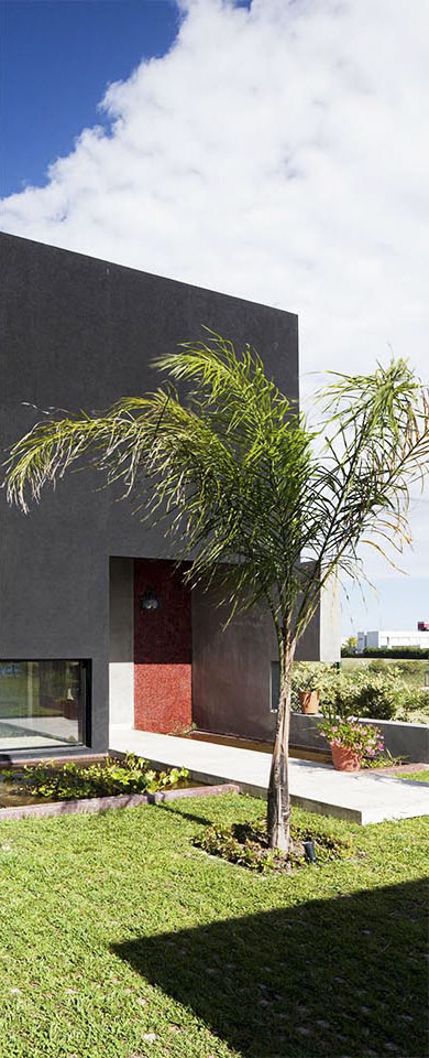 garden block en ingresos, palmeras en viviendas, colores en fachadas