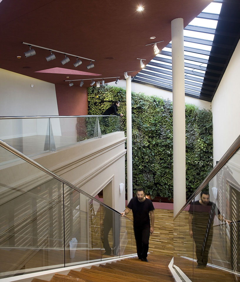 Diseño de escaleras modernas, barandas de vidrio en locales, diseño de jardines verticales, lucarnas interiores